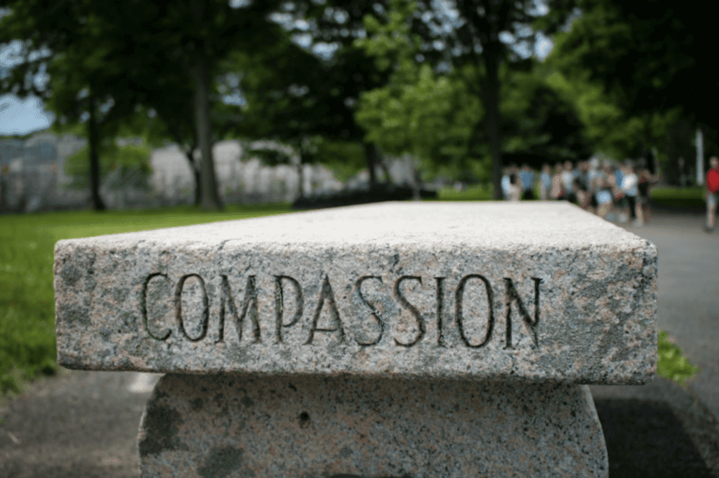 Culture Shift – Supporting Compassionate Inclusive Change